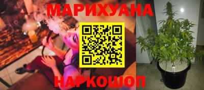 гашик Будённовск