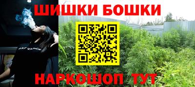 гашик Будённовск