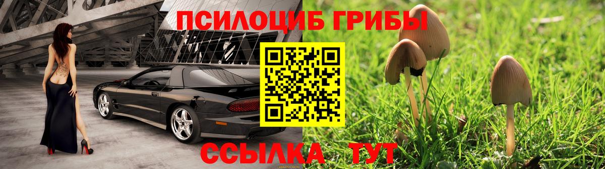 Псилоцибиновые грибы Psilocybe Нижний Тагил